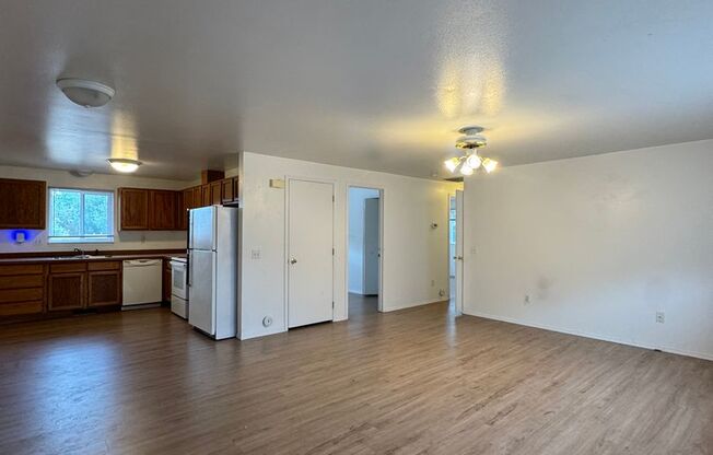 903 White Birch