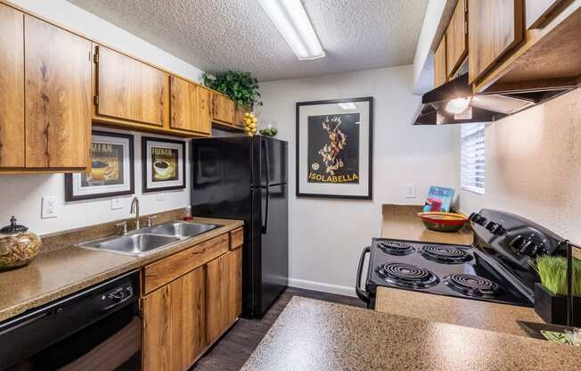 Kitchen View at The Hollows Apartments in San Antonio, TX