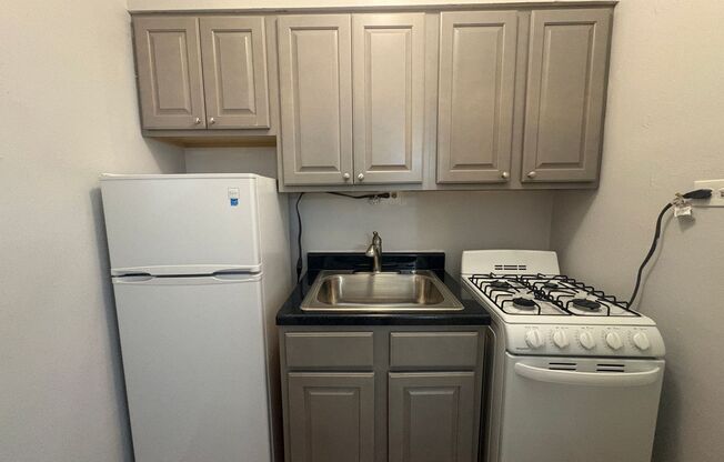 Studio, 1 bath, $1,095, Unit 107