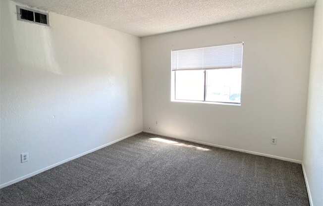 A room with a carpeted floor and a window letting in sunlight.