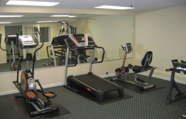 1 bed, 1 bath, $1,895, Unit LL - 313