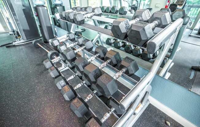 a row of weights in the gym