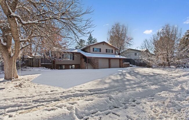 Great 5 Bedroom 3 Bath Home in Central Fort Collins
