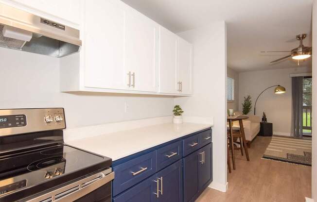 A kitchen with a stove top oven and blue cabinets.