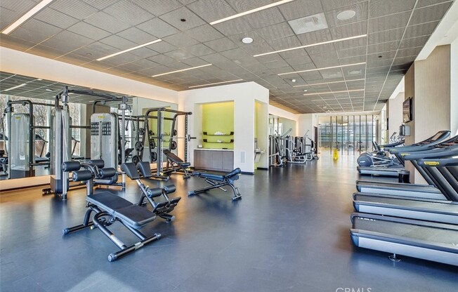 1 bed, 1 bath, 730 sqft, $3,500, Unit 3702