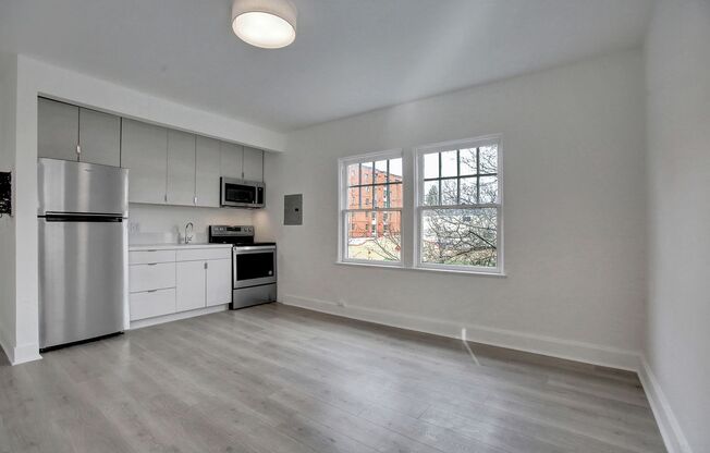 Studio, 1 bath, 235 sqft, $1,095, Unit 203