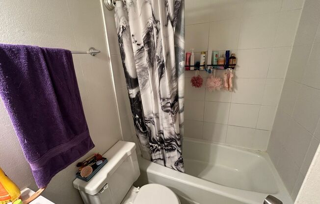 1 bed, 1 bath, $1,145, Unit 105