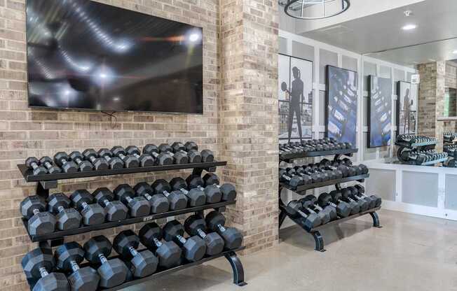 A gym with a row of black dumbbells on racks.