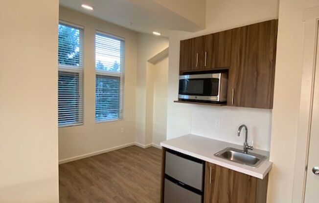 Studio, 1 bath, 175 sqft, $1,495, Unit 501