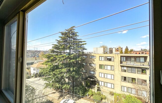 1 bed, 1 bath, 540 sqft, $1,795, Unit 507
