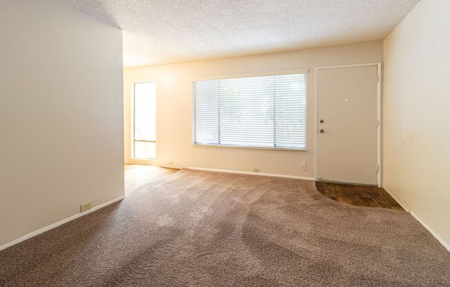 1 bed, 1 bath, $1,600, Unit 11