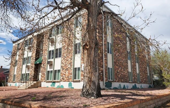 2 beds, 1 bath, $1,100, Unit Unit C2