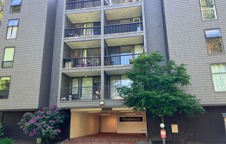 Fully Renovated Redmond 1 Bedroom