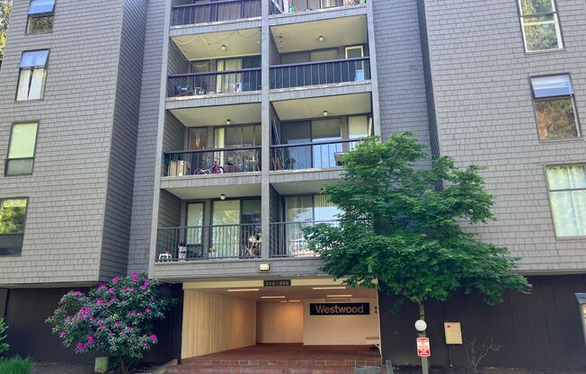 Fully Renovated Redmond 1 Bedroom