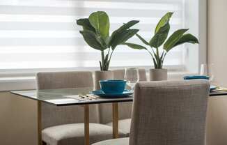 A dining table with two chairs and a potted plant.