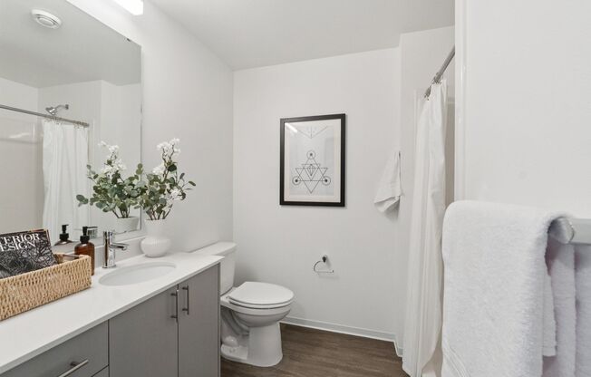 Studio, 1 bath, 277 sqft, $1,425, Unit 202