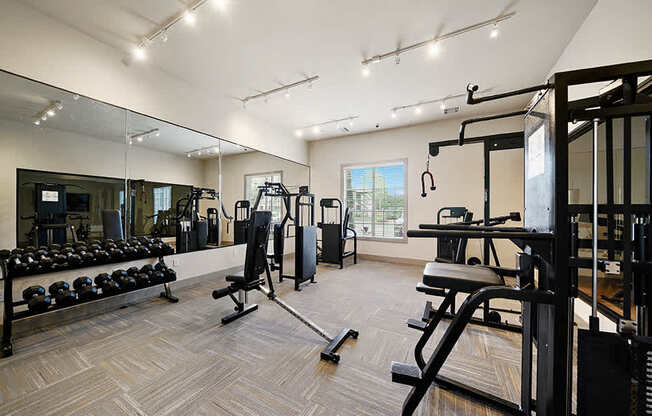 A spacious gym with a variety of equipment including dumbbells, weight machines, and a bench press.