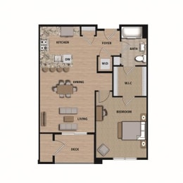 1 bed, 1 bath, 703 sqft, $2,495
