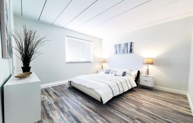 1 bed, 1 bath, 600 sqft, $999