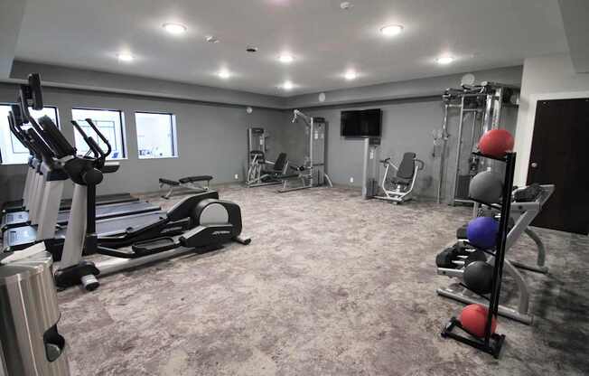 Fitness Center, Senior Apartment, Senior living, Maplewood, White Bear Lake, Saint Paul, Frost English Silver