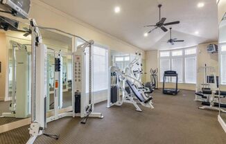 Fitness Center with a treadmill, free weights, ceiling fans, and large spacious windows