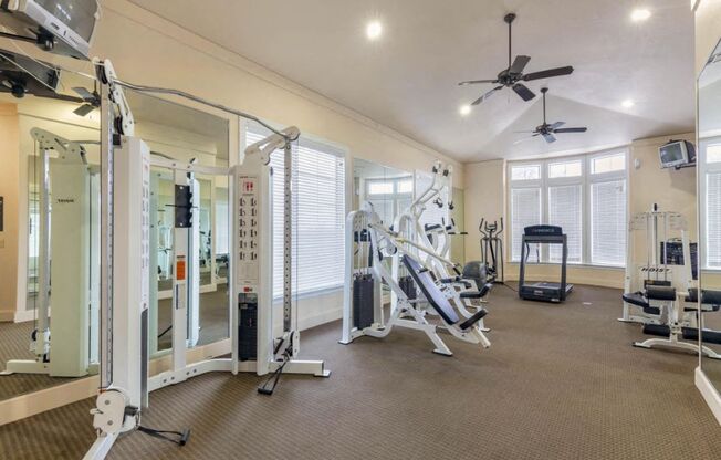 Fitness Center with a treadmill, free weights, ceiling fans, and large spacious windows