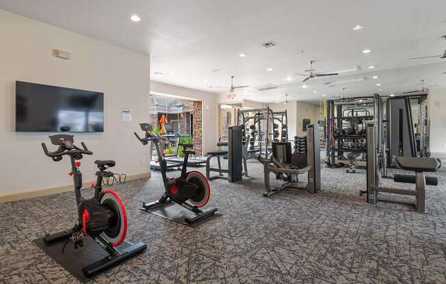 A gym with a television, exercise bikes, and weightlifting equipment.