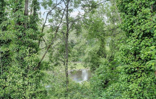 Lake view at Miramonte Lodge, Milwaukie, OR
