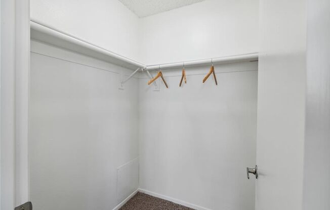 Walk In Closet at The District Apartment Homes