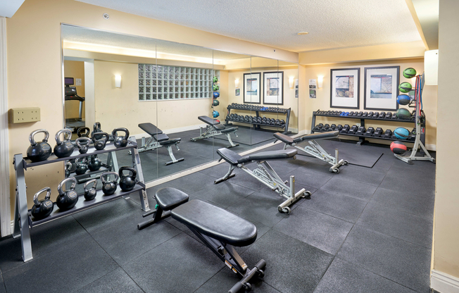 Free Weights, Med Balls, Bands and Benches