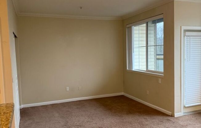 Studio, 1 bath, $1,495, Unit #115