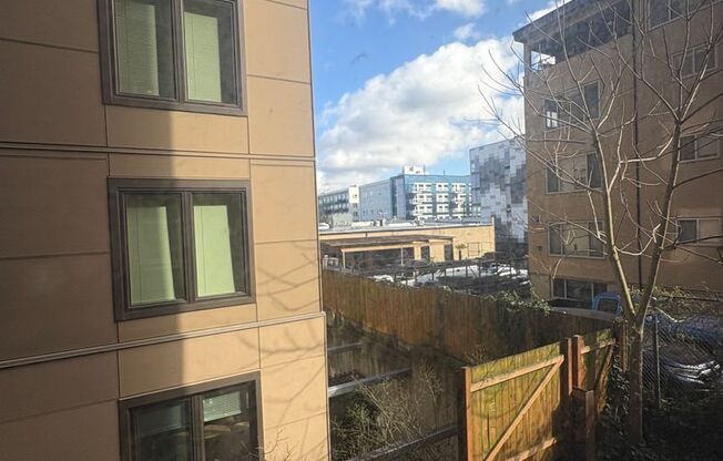 Studio, 1 bath, 200 sqft, $1,199, Unit 206