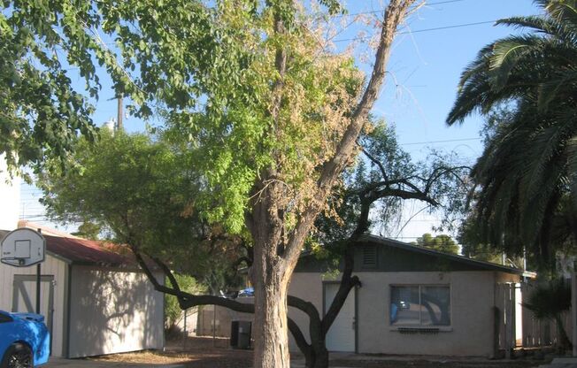 1 bed, 1 bath, $1,095, Unit Casita