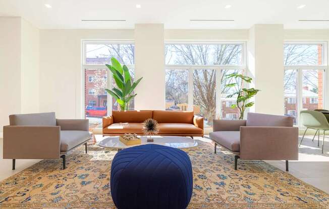 A living room with a blue ottoman in the middle of a rug.