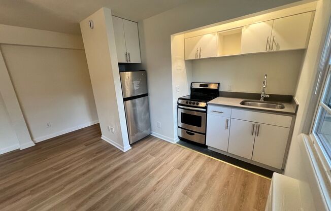 Studio, 1 bath, 374 sqft, $1,150, Unit 302