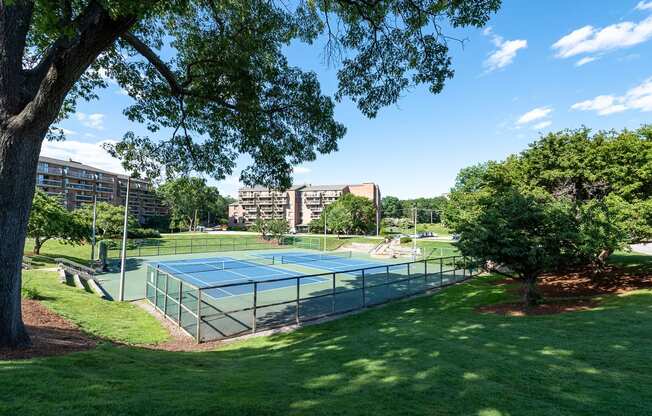 Faxon commons tennis courts