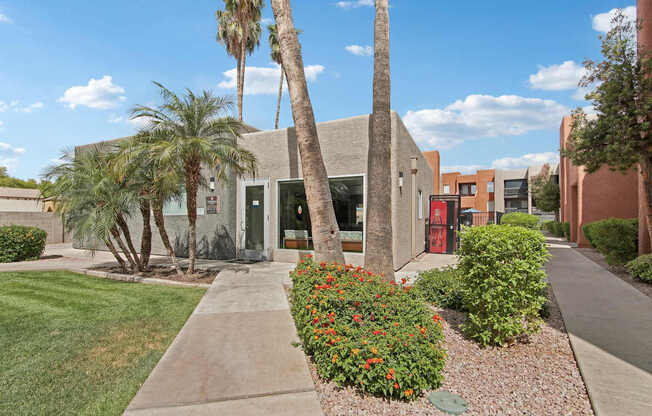 A building with a red door is surrounded by palm trees and bushes.