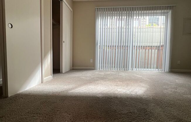 1 bed, 1 bath, $1,500, Unit CI2005