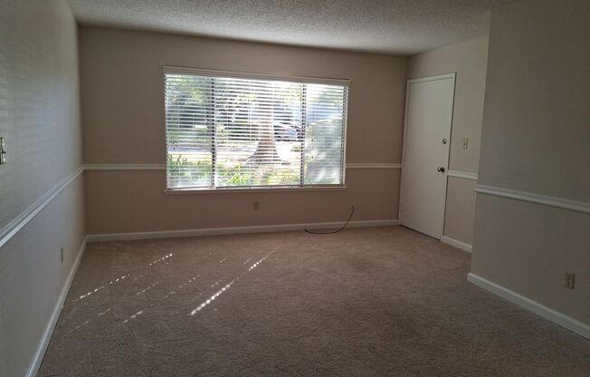 1 bed, 1 bath, $1,495, Unit 494101