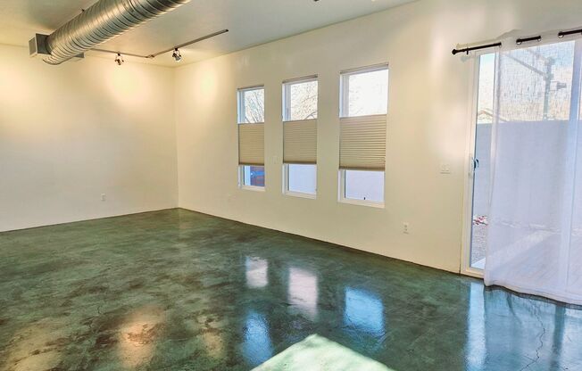 Huning Gardens Condo- DOWNTOWN LOFT STYLE CONDO