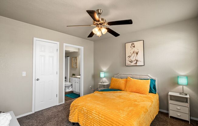 1 bed, 1 bath, 555 sqft, $959