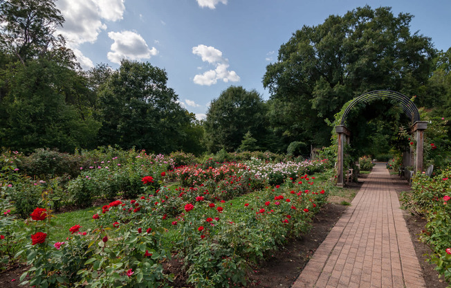 Stop and Smell the Roses at Bon Air Park