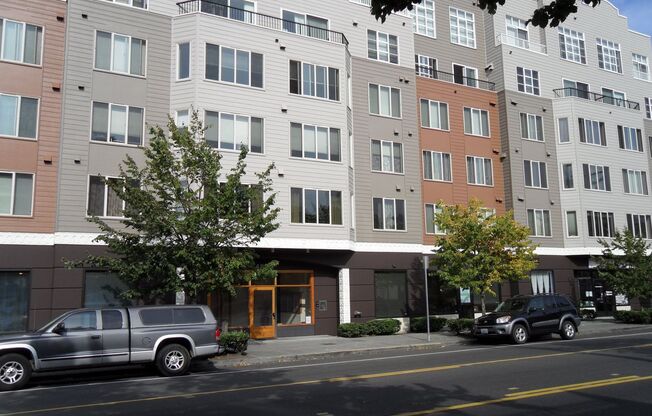 Studio, 1 bath, 460 sqft, $1,595, Unit 202