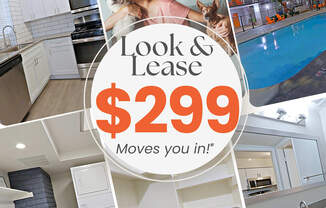Allora Phoenix Apartments in Central Phoenix