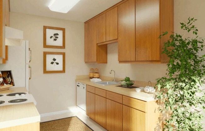 a kitchen with wooden cabinets and a plant in the corner