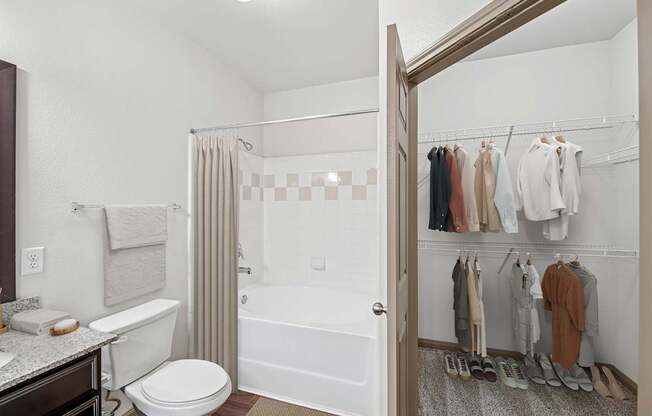 A bathroom with a toilet, sink, and a walk-in closet.