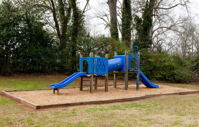 a blue playground in a park