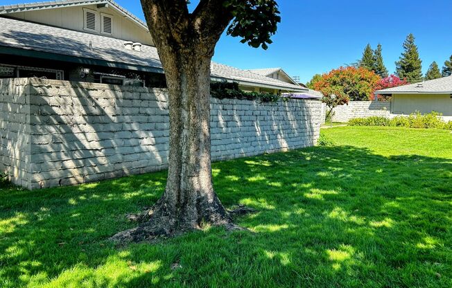 1 bed, 1 bath, 700 sqft, $1,425, Unit 50