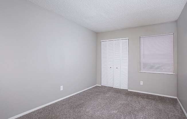 2nd Bedroom in apartment