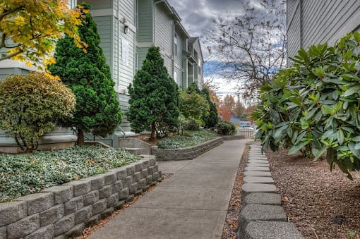 Tree Lined walkway at Parkside Apartments, Gresham, OR